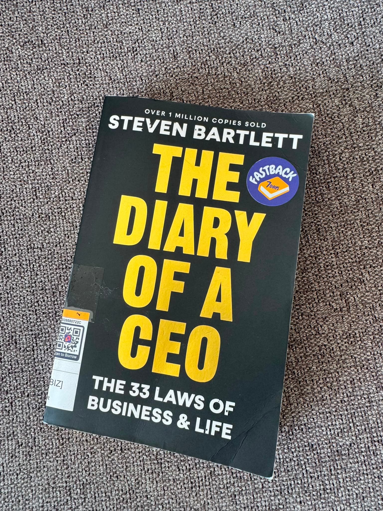 The Diary of a CEO